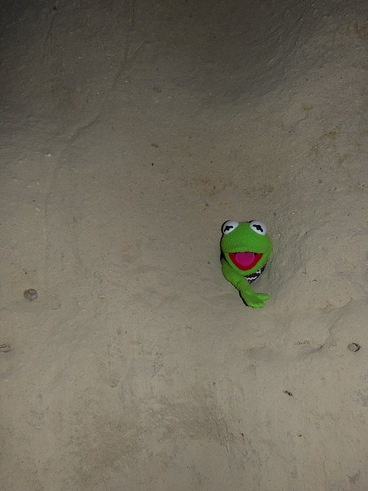 Kermit, granota, verd, paret, forat, atrapats, pedra