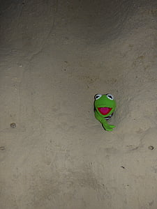 Kermit, žaba, zelena, steno, luknjo, ujete, kamen
