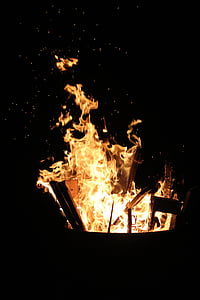 fogo, flama, queimadura, Heiss, madeira, calor, brilhante