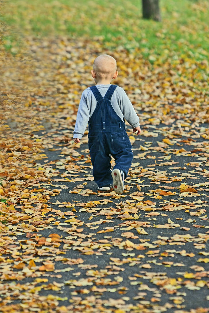 dítě, parku, podzim, na podzim listy, Veselé, strom, Baume čerstvý