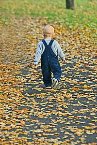 Baby, Park, Herbst, Blätter fallen, glücklich, Baum, Baume frisch