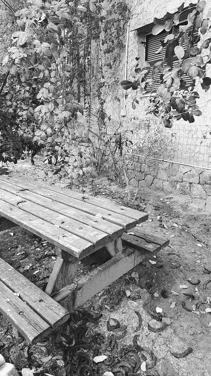 sivá, lavica, dizajn, vonku, štýl, drevené, Park