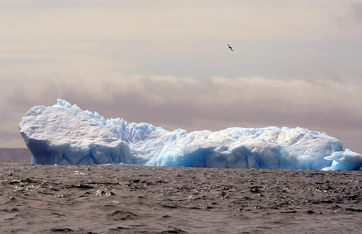 iceberg, Antártica, gelo, frio, oceano, congelado