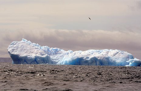 빙산, 남극 대륙, 얼음, 감기, 바다, 냉동