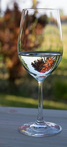 wijnglas, Witte Wijnglas, witte wijn, decoratie, alcohol, glas, drankje