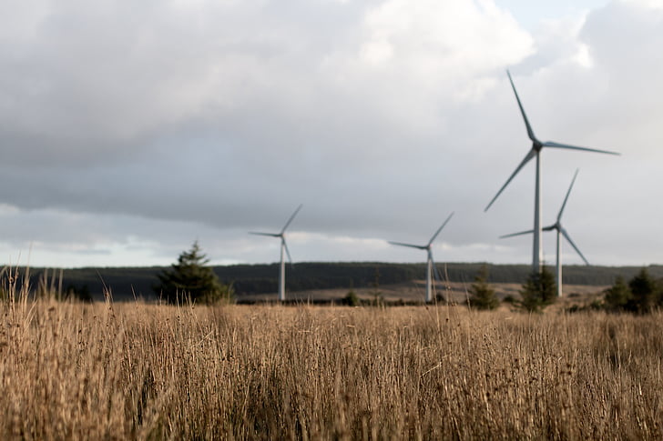 energy, long grass, turbines, wind, wind farm, windmills, environmental conservation