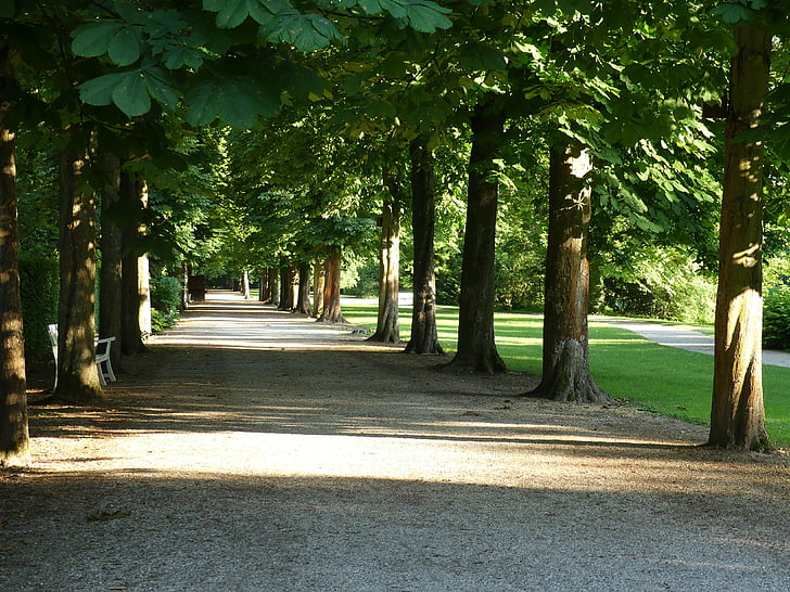 castle garden, schwetzingen, schlossgarten, castle park, romantic, park, melancholic