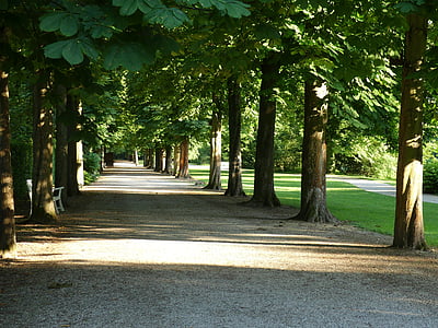 jardín del castillo, Schwetzingen, Schlossgarten, Parque del castillo, romántica, Parque, melancólico