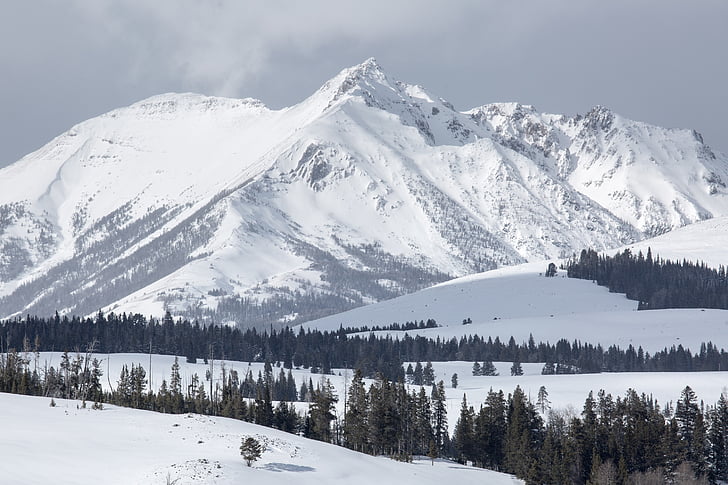 Electric peak, montagnes, Gallatin range, neige, nature sauvage, nature, Parc national d’Yellowstone