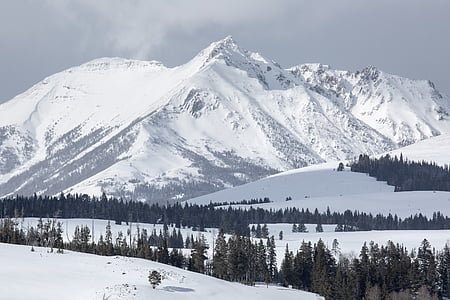Elektrik peak, dağlar, Gallatin aralığı, kar, vahşi hayat, doğa, Yellowstone Milli Parkı