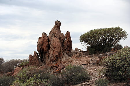 tenerife, landscape, rock, stones, bizarre, bizarre shapes, dry