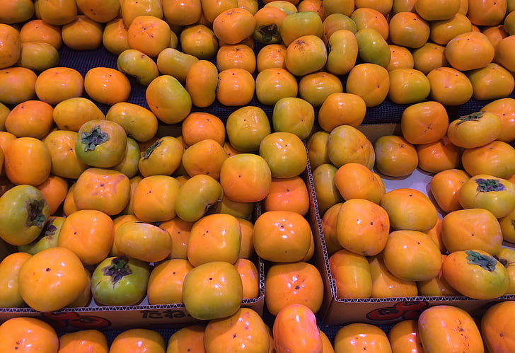 persimmon, ung og livlig, høst, oransje, grønn, gul, ekte