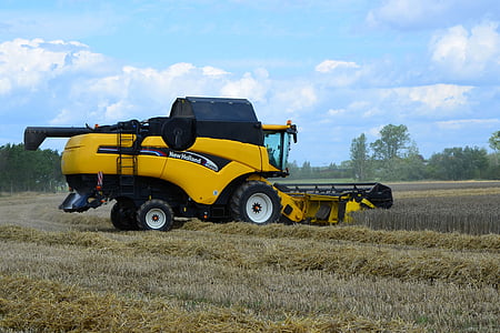 combine harvester, grain harvest, harvester, agricultural machine, agriculture, summer, harvesting