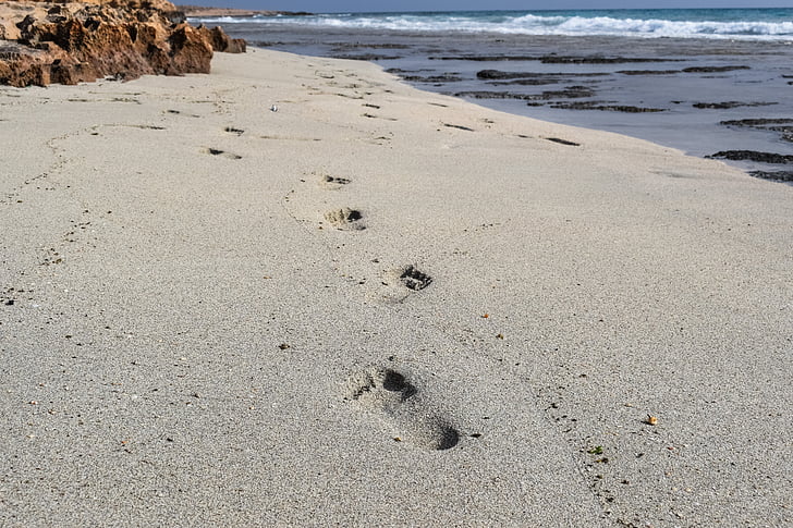 footprints, steps, sand, beach, sea, barefoot, shore