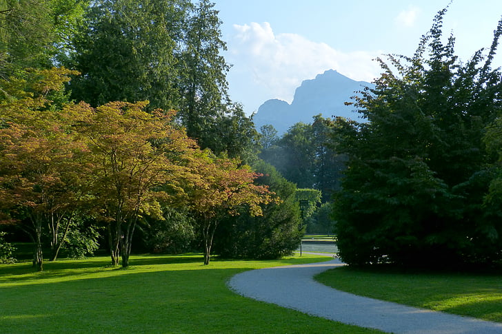 Parque, Hellbrunn, Unterberg, naturaleza, árbol, sombras chinescas