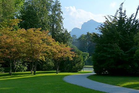 Park, Hellbrunn, Unterberg, natur, træ, skyggespil