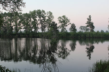 Lac, réflexion, été, Russie, rivière, étang, reflet miroir
