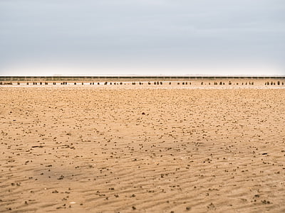 vats, Mar de Wadden, Mar del nord, reflux, platja, l'aigua, horitzó