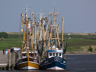 greetsiel, port, coast, ships, fishing vessel, day, tradition