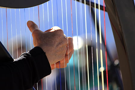 harpa, instrumen, musik, tali, tangan, tangan manusia, alat musik