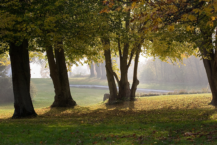 autumn, lens, trees, park