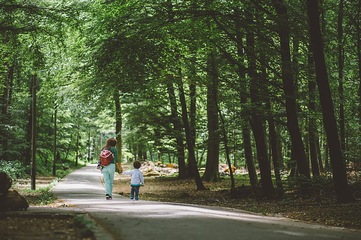 child, green, kid, nature, path, trees, woman