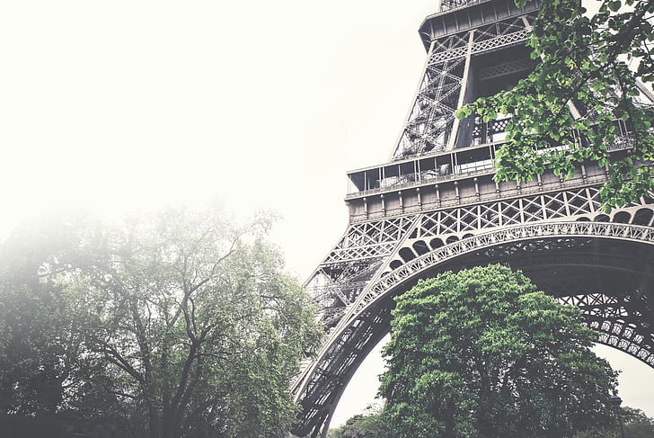 låg, vinkel, Eiffel, tornet, Eiffeltornet, arkitektur, träd