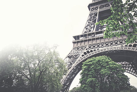 nízka, uhol, Eiffel, veža, Eiffelova veža, Architektúra, stromy