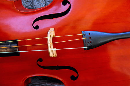 viool, muziek, instrument, snaarinstrument, tekenreeks, kunst cultuur en entertainment, rood