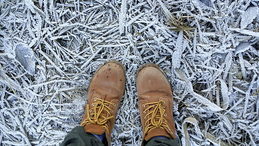 marrón, cuero, trabajo, botas, árbol, sucursales, nieve