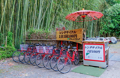 Japão, Arashiyama, floresta de bambu, bicicletas, guarda-chuva, natureza, verde