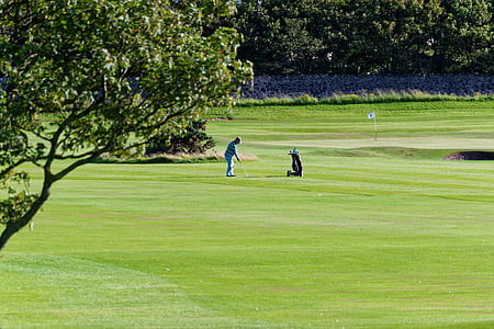 golf, golf course, golfer, green, course, grass, sport