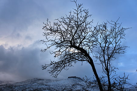 снег, Зимний пейзаж, дерево, Природа, Гора, Зима, Турция