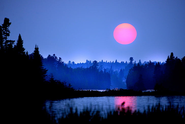 zonsondergang, Twilight, hemel, avond, zon, bomen, Lake
