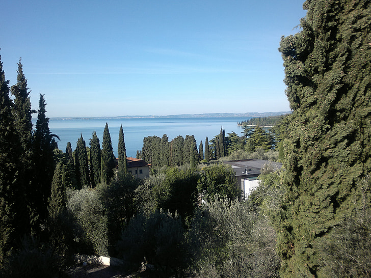 Lago di Garda, stromy, jezero, obloha, pohled, voda, nálada