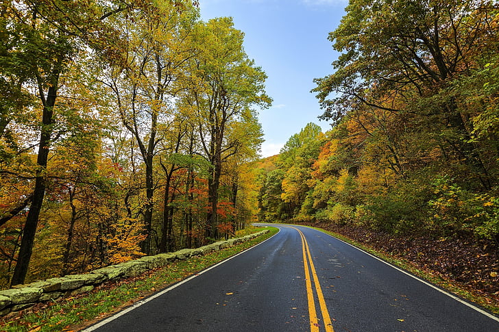 asphalt, autumn, beauty, colorful, countryside, daylight, fall