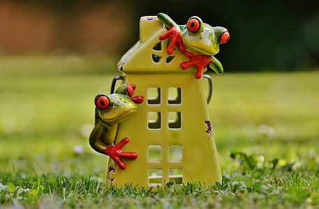 frogs, home, funny, cute, sweet, decoration, figure