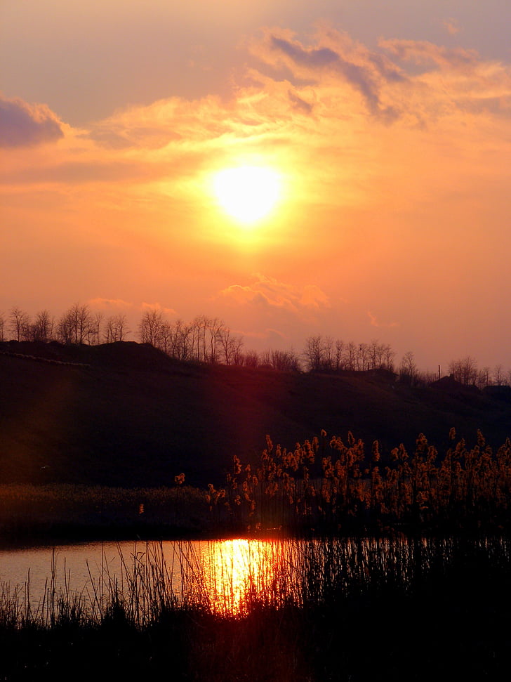 solnedgang, Lake, Cane, refleksjon, solen, himmelen, rød