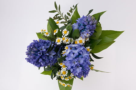 bouquet, hyacinth, hyacinthus orientalis, asparagaceae, asparagus plant, flower, spring