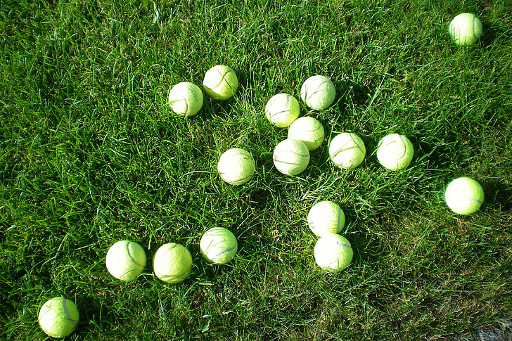 tennis balls, mess, meadow