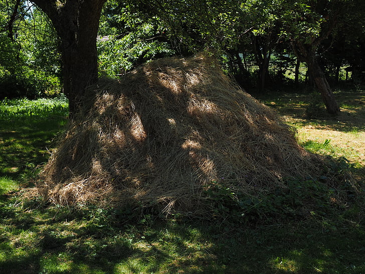 haystack, hay, grass pile, meadow, garden, nature, tree