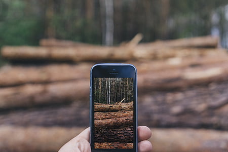 숲, 손, 아이폰, 자연, 스마트폰, 촬영 사진, 기술