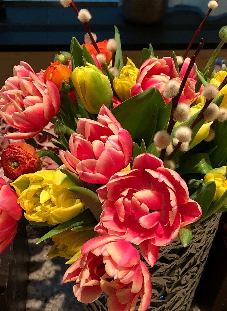 cvetje, tulipani, Tulipan, pomlad, rastlin, cvet, šopek