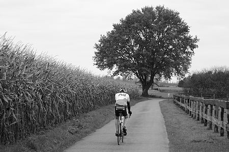 ciclista, andar de bicicleta, esportes, pessoas, homem, relaxamento, natureza