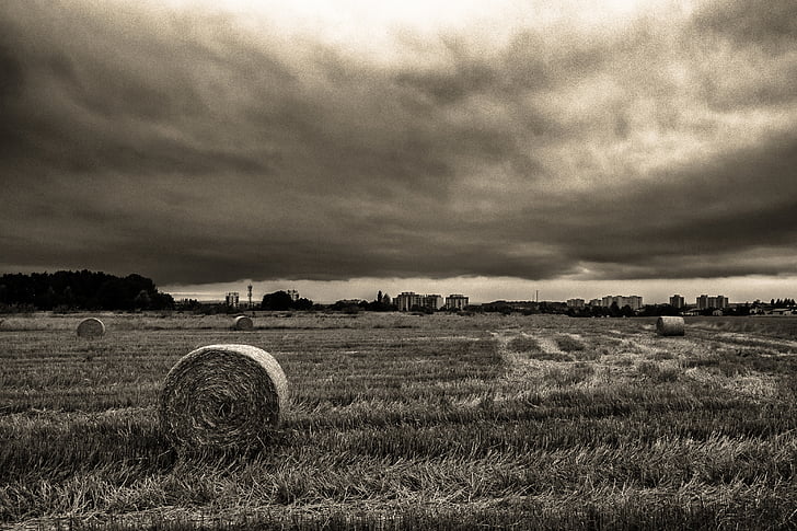 grayscale, photography, rolled, hey, grass, field, cloudy