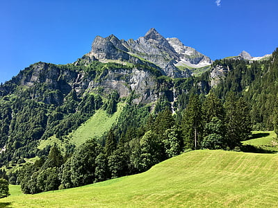 kalns, ainava, Glarus, vasaras, daba, noskaņojums, Alpu