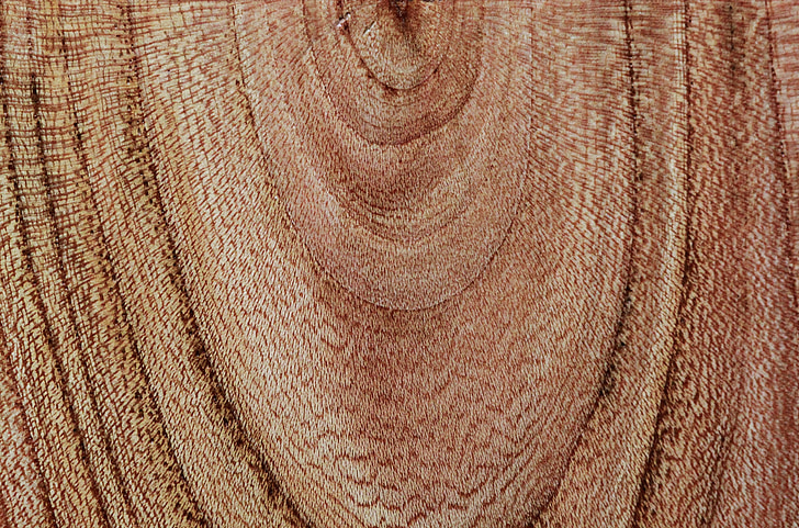 Holz, Maserung des Holzes, Holzstruktur, Jahresringe, Korn, Hintergrund, Textur