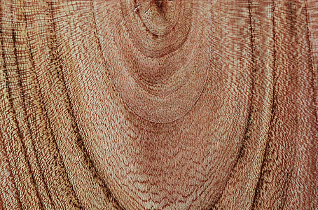 madeira, grão de madeira, estrutura de madeira, anéis anuais, grão, plano de fundo, textura