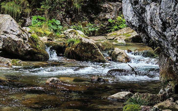 Bach, Creek, Natur, Stream, Fluss, Wald, Wasserfall