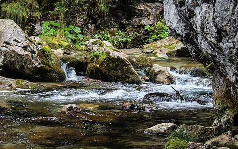 Brook, Creek, Luonto, Stream, River, Metsä, vesiputous